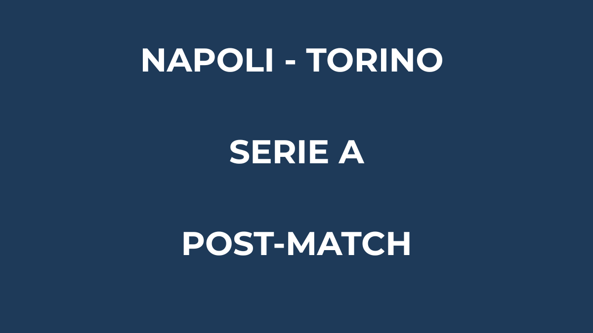 Napoli Torino 2-1 analisi partita